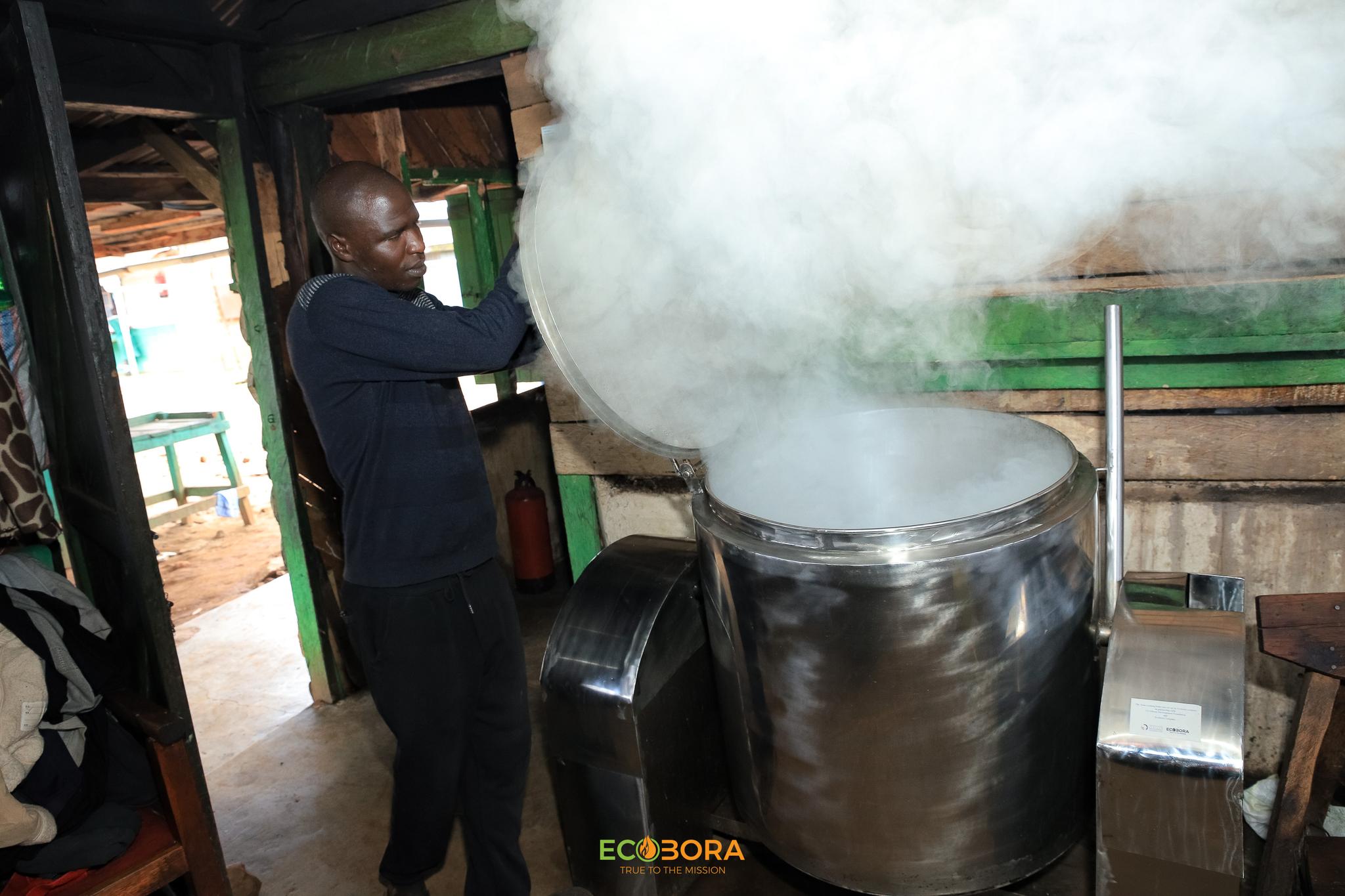 ecobora boiler